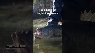 Download lagu 5 Best Bass Fishing Lures for Beginners! mp3