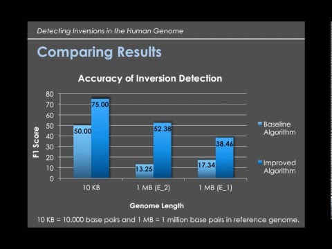 Algorithm to Find Inversions in the Human Genome