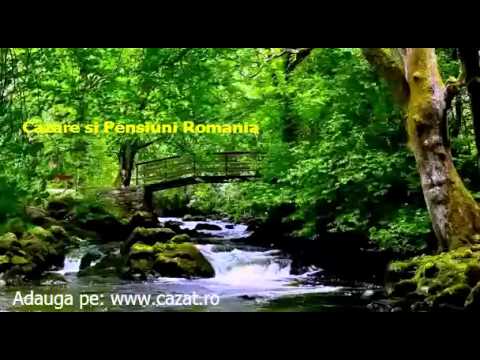 Cazare Tarina, Alba - Cazat.ro