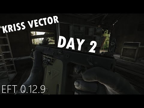 Getting lost in the new woods expansion - Escape from Tarkov wipe - day 2