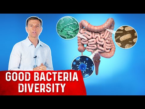 BILE What is BILE and Where is it Produced – Dr Berg