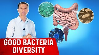 Increase Gut Bacteria Diversity: Here
