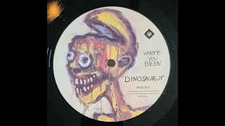 Dinosaur Jr. - What Else Is New - Vinyl record
