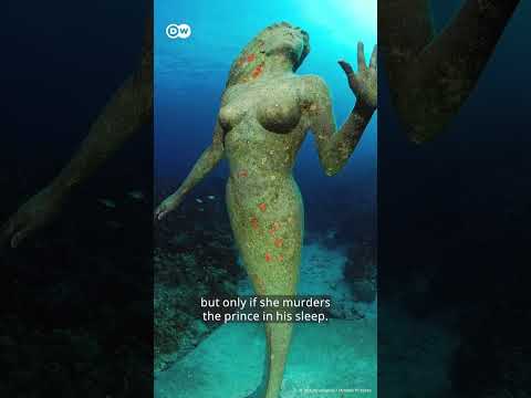 The REAL story of "The Little Mermaid" #shorts #thelittlemermaid #disney #hallebailey