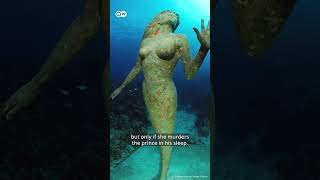 Download lagu The REAL story of 'The Little Mermaid' #shorts #thelittlemermaid #disney #hallebailey mp3