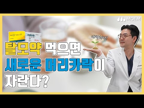 탈모약 먹으면 새로운 머리카락이 자란다? (전지훈원장/모엠의원/히든컷)