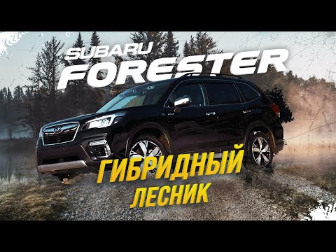 Subaru Forester Гибридный лесник конец эпохе турбо-СУБАРУ!?