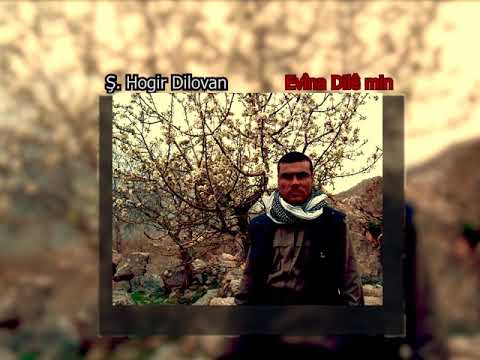 Hogir dilovan