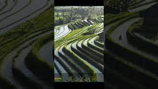 Download lagu Karaoke Pop Sunda Sagileuk - Versi Nina & Dendi Gasentra #popsunda #solopiano #gasentrapajampangan mp3