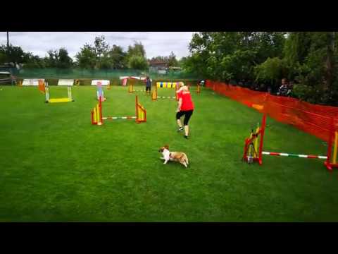 A-Team Agility Kupa 2020.06.20. - Lia Open Agility