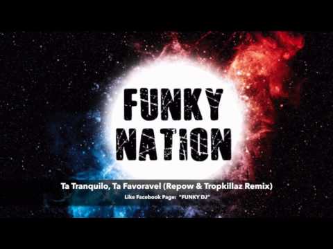 Ta Tranquilo, Ta Favoravel (Repow & Tropkillaz Remix)