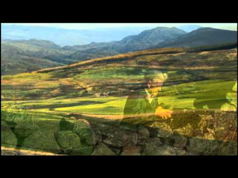 WALLS - from Robbie Ellis