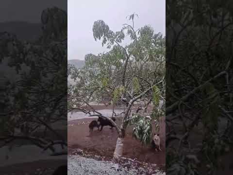 OLA DE FRIO Y NIEVE EN ESTANCIA LA BOLSA, GUACHIPAS, SALTA, ARGENTINA #nieve