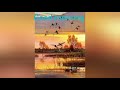 Nature Dirds Good Morning WhatsApp Status Ep3