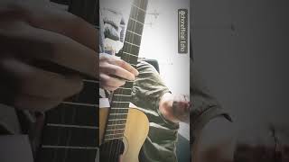 Chon ~ Echo acoustic outro