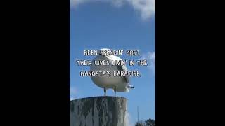 Gangsta&#39;s Paradise - K. Mash, Coolio and R. Bernasconi