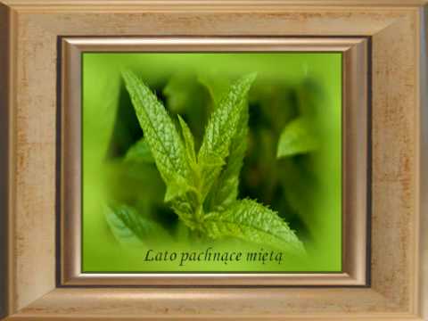 LATO PACHNĄCE MIĘTĄ  KATARZYNA JAMRÓZ.wmv