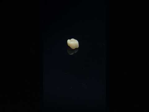 YouTube 썸네일