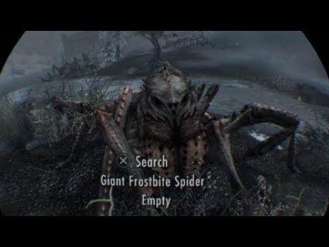 Skyrim VR.    Are you scared of Spiders  ?   You will be.....