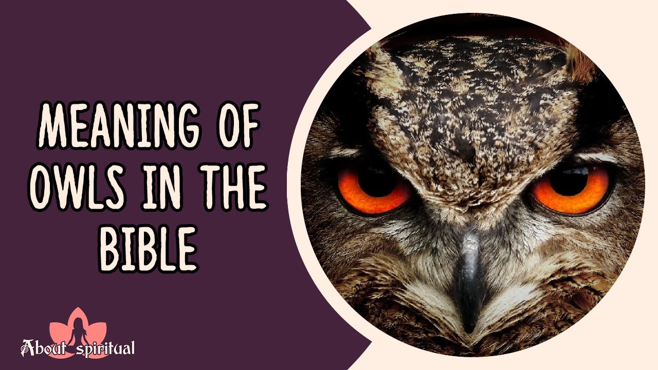 What is the symbolism of an owl? Any Answer