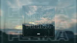 Felina Music Video