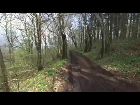 Friuli, sentiero Monte Faeit 1°