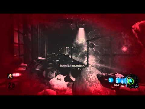 Cod blops 3 zombies can screw you over