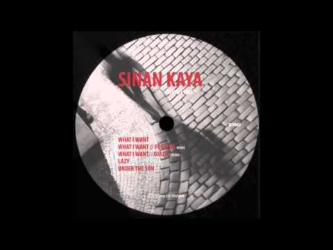 Sinan Kaya - What I Want (Djazzy Remix)