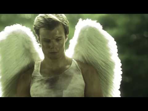 Torment by Lauren Kate - Novel Trailer