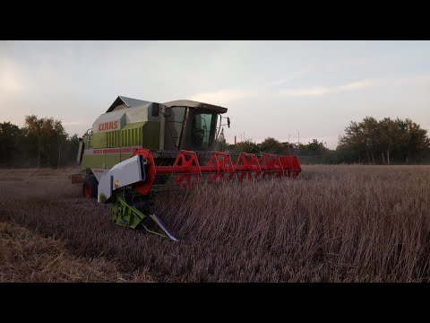 Claas Mega 218 bei der Getreideernte 2020