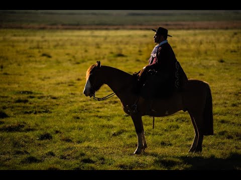 Domingueiro - Joca Martins