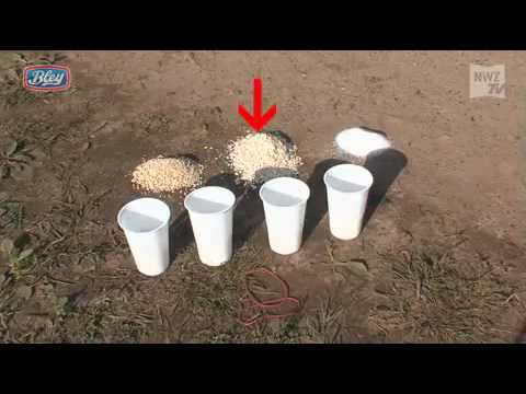 NWZ Kohlfahrtspiel Nr.6: Staffel-Schütten