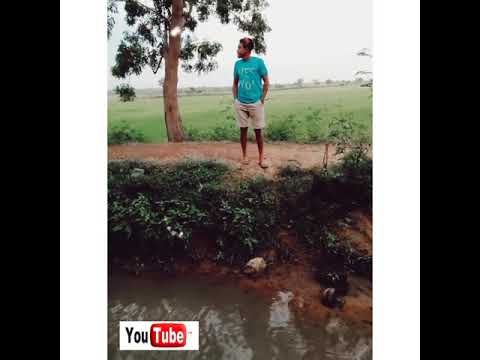 හොර පොල් කැඩීම..🤣🤣../hora pol kadima..