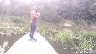 preview picture of video 'FISH HUNTING GAINT SNAKEHEAD MALAYSIA '