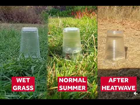 Wie schnell versickert Wasser in unterschiedlich feuchte Böden?