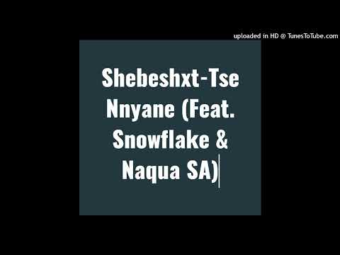 Shebeshxt-Tse Nnyane (feat. Mckay Johnson, Jojo Manjaro, Snowflake, Naqua SA, Buddy Sax & DJ Tiano)