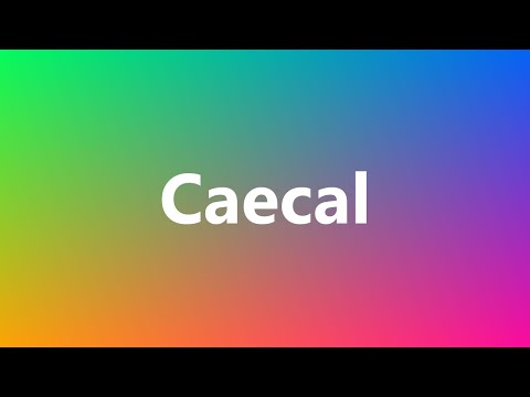 Caecal - Medical Meaning and Pronunciation
