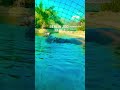 channel
