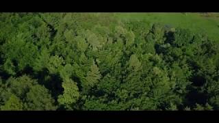 Catz &#39;n Dogz - Meditate (Feat. Heather Chelan) (Official Video)