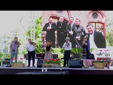 A Dűvő zenekar koncertje a Kevi Juhászfesztiválon