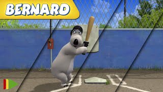 🐻‍❄️ BERNARD  | Collection 25 | Full Episodes | VIDEOS and CARTOONS FOR KIDS