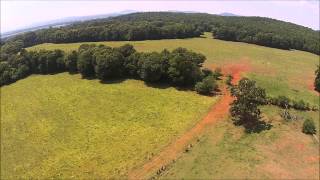 preview picture of video 'Grogan Farms, Talladega County Cattle Farm'