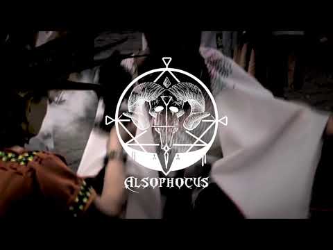 Alsophocus  - Nahual