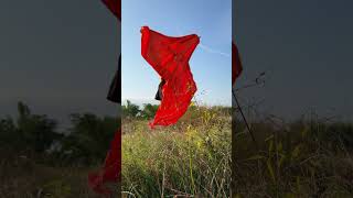 草むらからチラっ #shorts