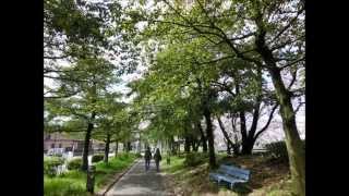 preview picture of video '春日井市のふれあい緑道を歩いてきた。　Walking Fureai green road in Kasugai.'