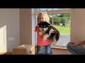 Adorable Little Girl Meets Malamute Puppy For The First Time! (Cutest Ever!!)