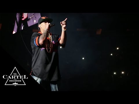 Tiradera Daddy Yankee vs Don Omar #TheKingDom (Live)