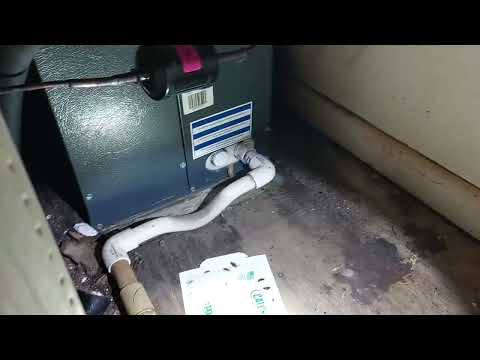 Cockroaches Found in A/C Unit in Dayton, NJ