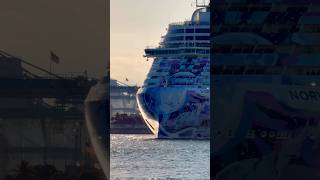 Norwegian Luna 🛳️ #cruiseship #cruise #vacation #shorts #short #yt #like #share #comment #subscribe