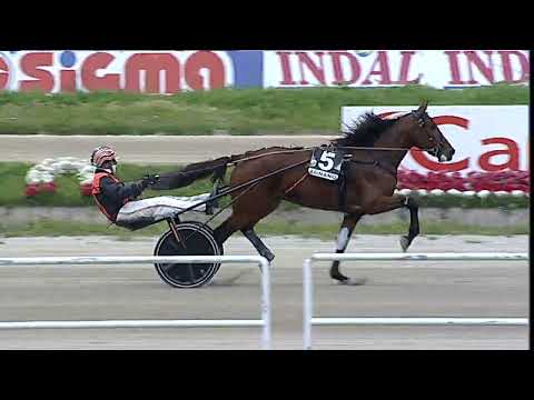 Napoli Trotto 31/03/2023 - 6ª corsa